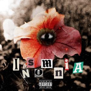 Insomnia (Explicit)