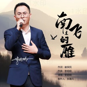 南飞的雁 (伴奏)