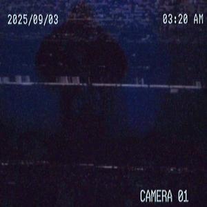 Choro em Cifrão (Explicit)