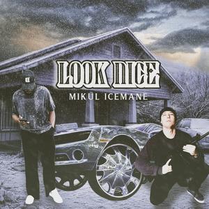 Look Nice (feat. Mikul) (Explicit)