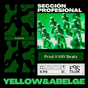 Sección Profesional (Explicit)