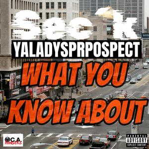 What You Know About (feat. Yaladysprospect) [Explicit]