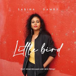 Little bird (feat. Noah Kellman & Nick Frenay)