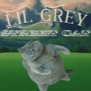 PETEL'S VIEW (feat. CRI$BI)