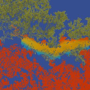 the Misgendered Cephalopod