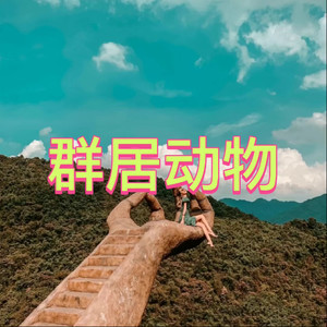 天天 - 请先说你好