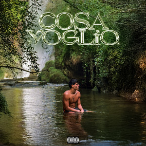 Cosa Voglio (VOLONTÀ)