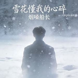 雪花懂我的心碎 (大风在吹大雪在飞) - 烟嗓船长封面