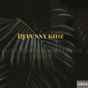 Just Saying Anything Vol 2 (Explicit)