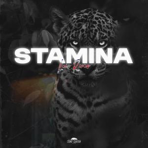 Stamina