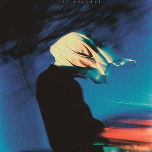 C Y G N - Until the night is gone