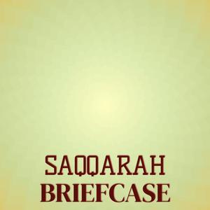 Saqqarah Briefcase