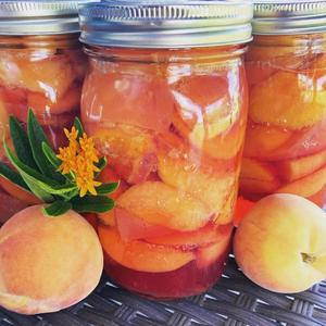 Canned Peaches