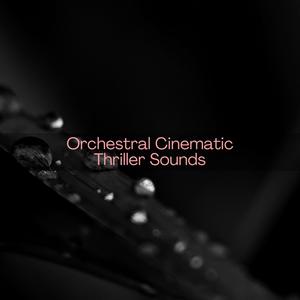 Intense Action (Orchestral Adventure Soundtrack) (Original Mix)
