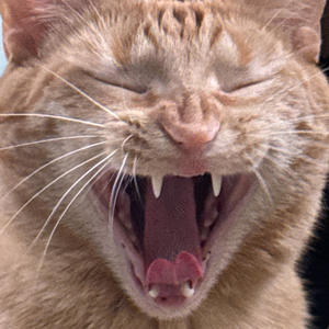 Villainous (feat. Kovou) (Explicit)