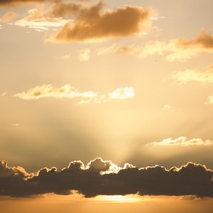 Breadwinners (Explicit)