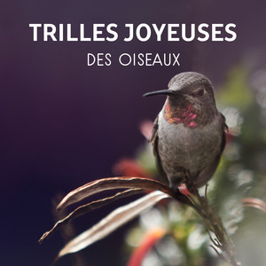 Trilles joyeuses des oiseaux - Musique de relaxation pour attitude positive, Thérapie sonore naturel, Bruits de la forêt, Détente totale