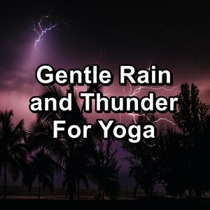 Summer Rain and Thunder and Nature Sounds Pure Sounds to Help Insomnia