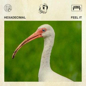 Feel It (Breaks Mix)