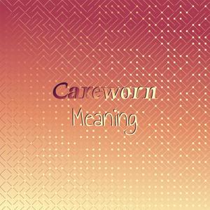 Careworn Meaning