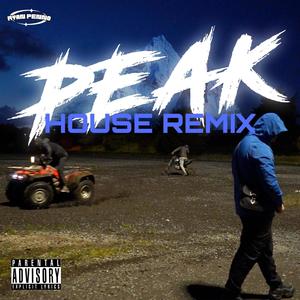 PEAK (HOUSE REMIX) [Explicit]