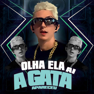 Olha Ela Ai a Gata Apareceu (Explicit)