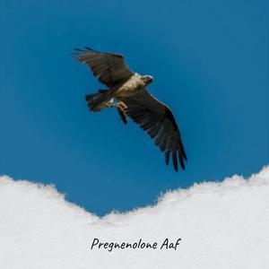 Pregnenolone Aaf