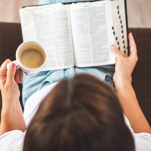 Serene Tunes for Study