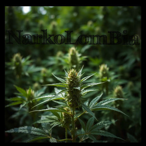 Narkolombia (Explicit)