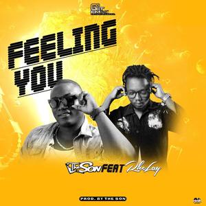 Feeling You (feat. Rhelay)