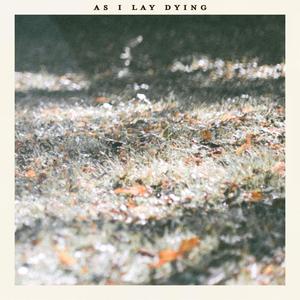 As I Lay Dying