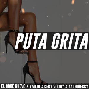 Puta Grita(feat. Yailin La Mas Viral, Ceky Vicini & Yhadiberry) (Explicit)