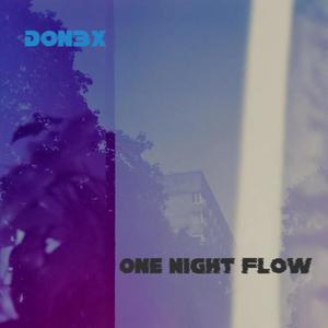 One Night Flow (Explicit)