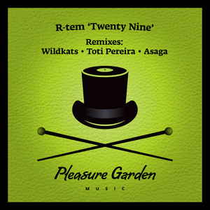 Twentynine (Wildkats Remix)