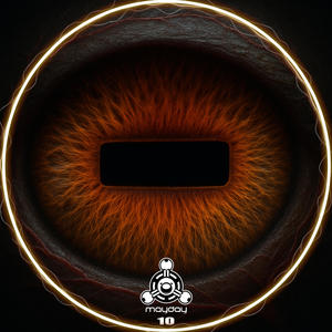 The Dark Side (feat. Diuko)