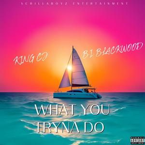 What You Tryna Do (feat. KING CJ)