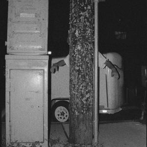 Paper Tiger - Pyramidion