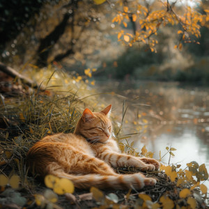 Música Serena De Río Para La Calma De Los Gatos