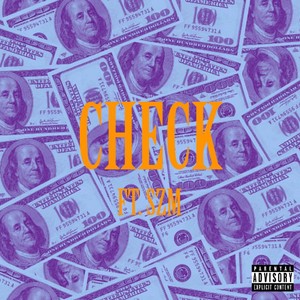 Check (Explicit)