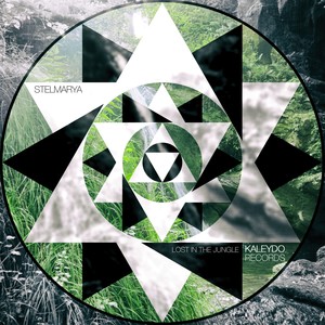 Lost In The Jungle (Original Mix)