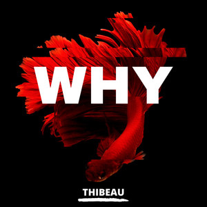 Why (Explicit)