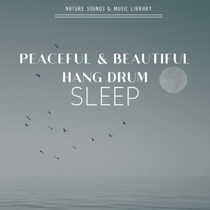 Peaceful & Beautiful Hang Drum Sleep