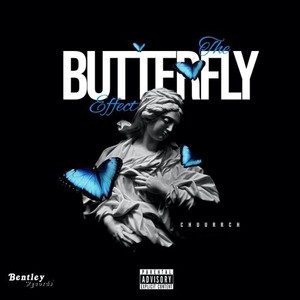 The Butterfly Effect (Explicit)