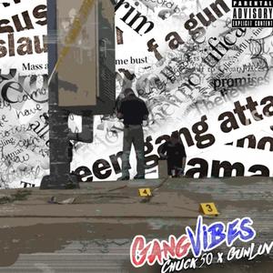 Gang Vibes (Explicit)