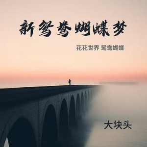 新鸳鸯蝴蝶梦（花花世界 鸳鸯蝴蝶）