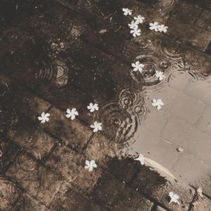 wish me away (feat. cities)