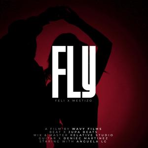 FLY (feat. Mr. Mestizo & JupaBeats)