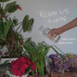 regar las plantas