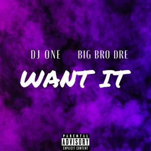 Want It (Explicit)