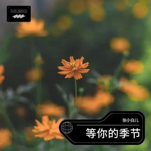 等你的季节-张小白儿